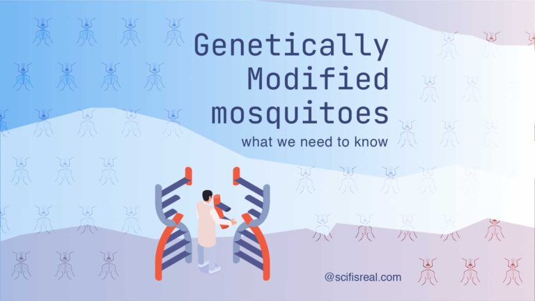 Genetically Modified Mosquitoes: what we need to know